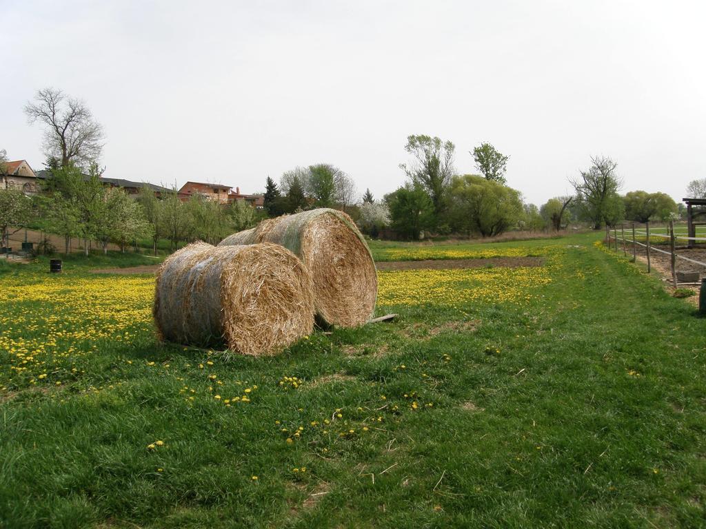 Vinný sklep Kovárna Rohatec Esterno foto